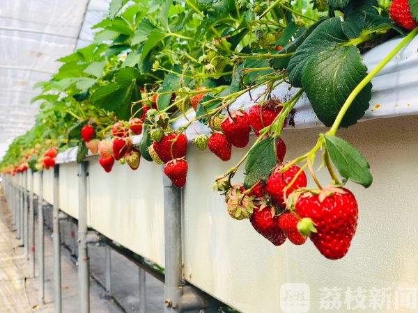 色花堂
