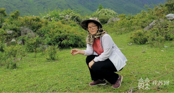 色花堂